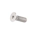 (R) Motor Support Screw 5/16X1