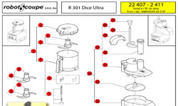 Download R301 Dice Ultra Manual