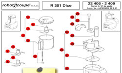 Download R301 Dice Manual